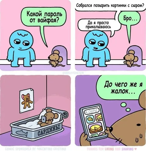 Пароль от вайфая с сыром