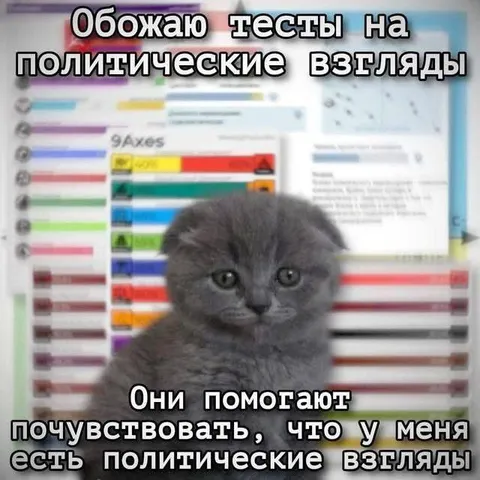 Кот с политическими взглядами