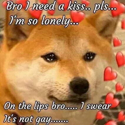 Bro I Need a Kiss