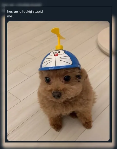 Doraemon Hat Puppy Reaction