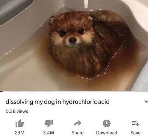 Dissolving My Dog in Acid