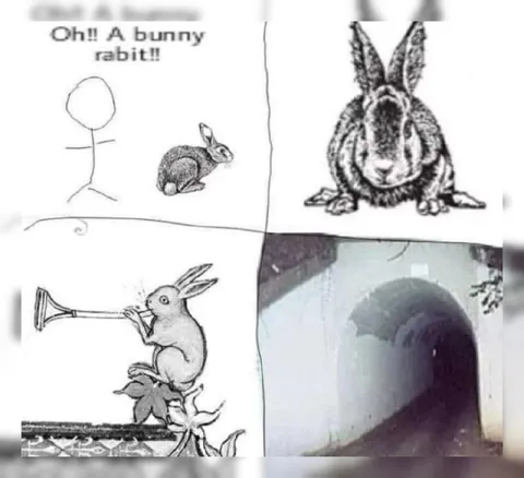 Oh!! A Bunny Rabbit!!