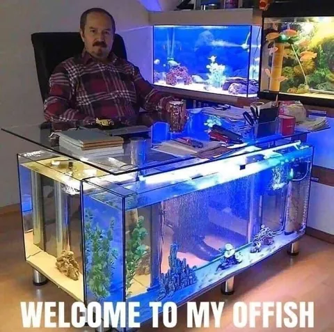 Welcome to My Orfish