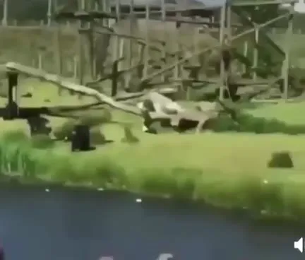 Зрители наблюдают за медведями