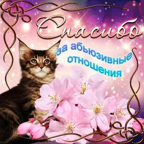 Спасибо за абьюзивные отношения