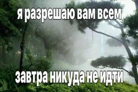 Разрешаю никуда не идти
