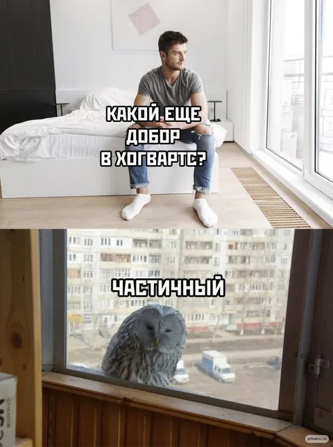 Частичный добор в Хогвартс