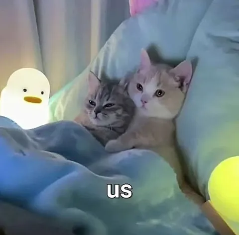 Us Cuddling Cats in Bed