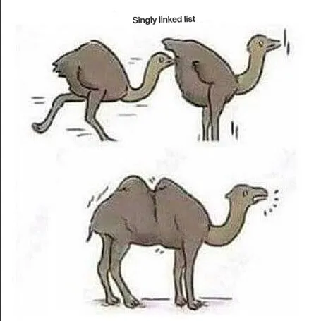 Singly Linked List Birds