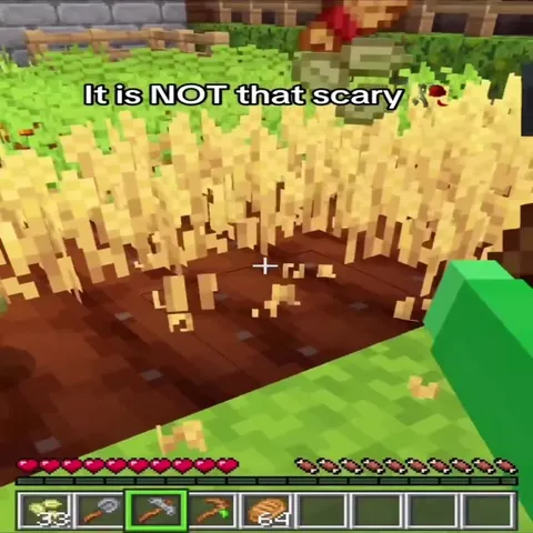 Minecraft Job Application Horror
