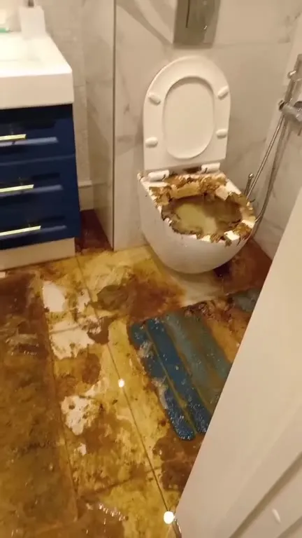 Когда туалет пошёл в наступление