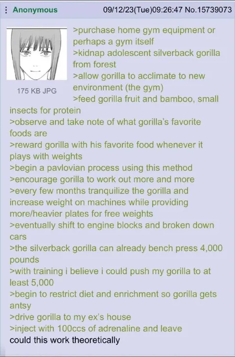 Theoretical Gorilla Gym Plan