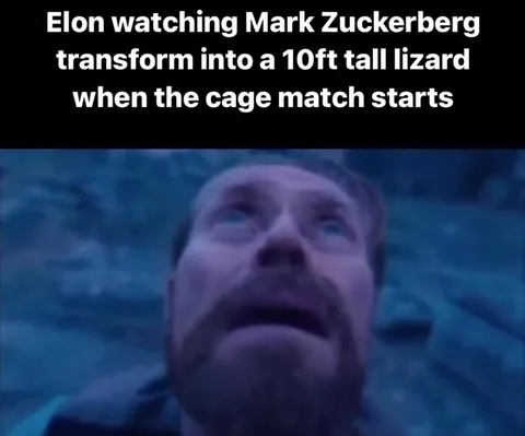 Elon Watches the Cage Match