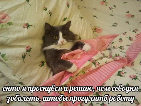 Проснуться и решить заболеть