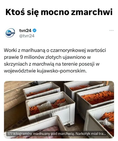 Marihuana pod marchewką