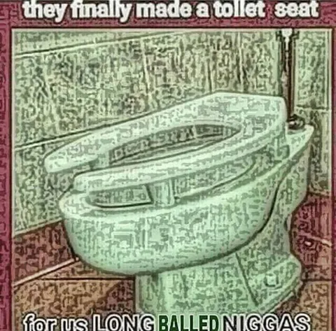 Toilet Seat for Long-Balled Guys