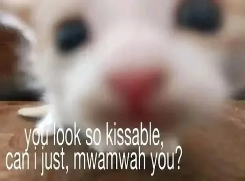 Kissable Cat Mwamwan