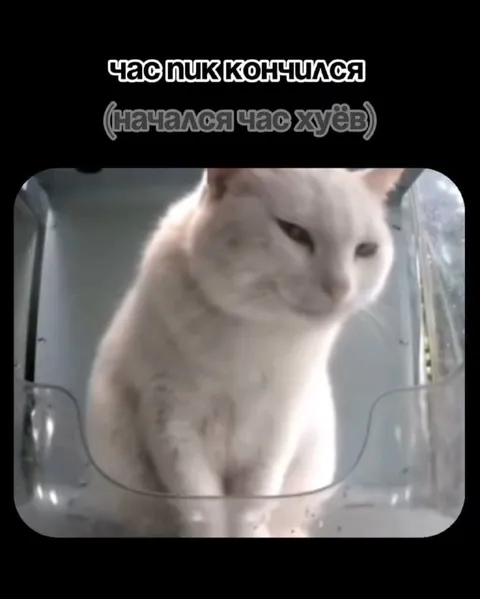 Час пик кончился