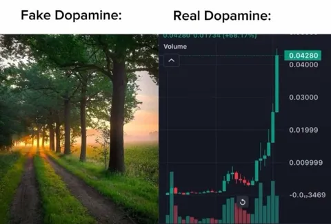 Fake Dopamine Real Dopamine