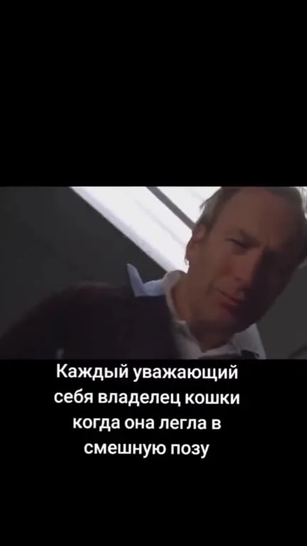 Владелец кошки фотографирует позу