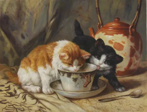 Котята пьют чай