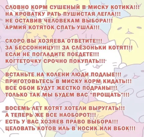 Армия котят объявляет войну