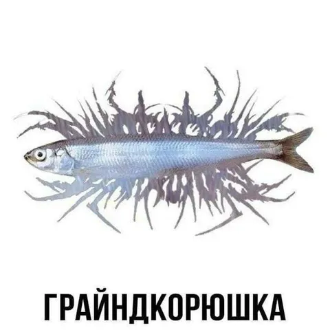 Грайндкорюшка с шипами