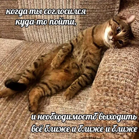 Когда нужно выходить из дома