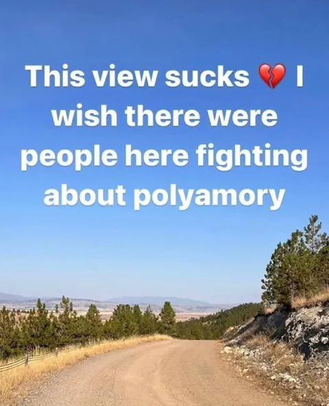 This View Sucks Polyamory