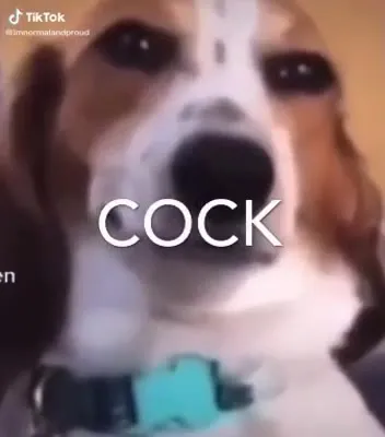 Dog Says COCK