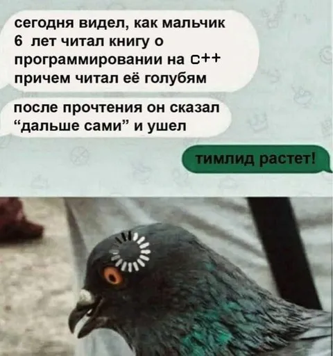 Тимлид растёт