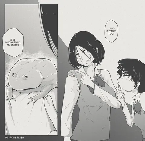 Talking Wednesday Frog