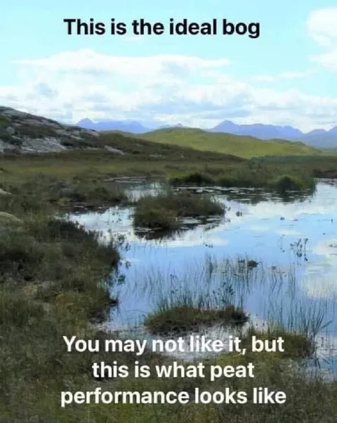 Ideal Bog Peat Performance