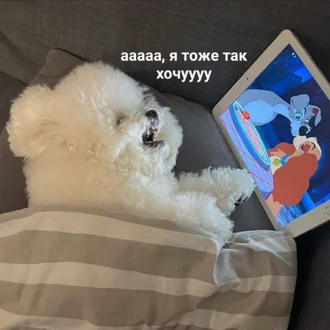 Собачка тоже так хочет