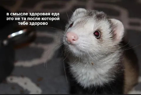 Здоровая еда, после которой здорово