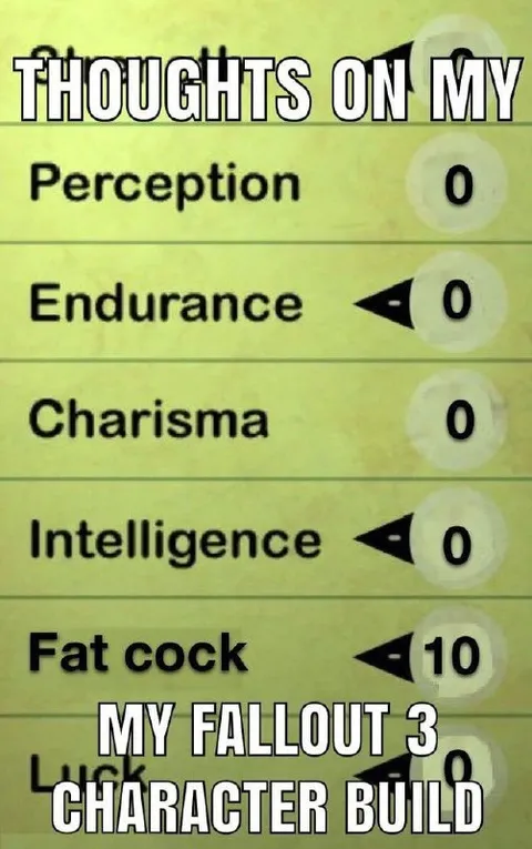 Fallout 3 Zero Intelligence Build
