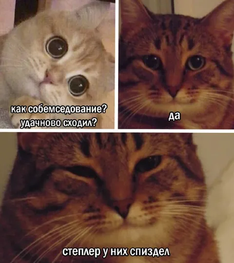 Собеседование прошло удачно