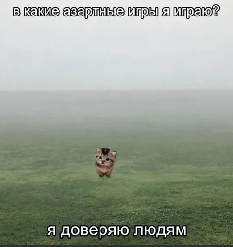 Я доверяю людям