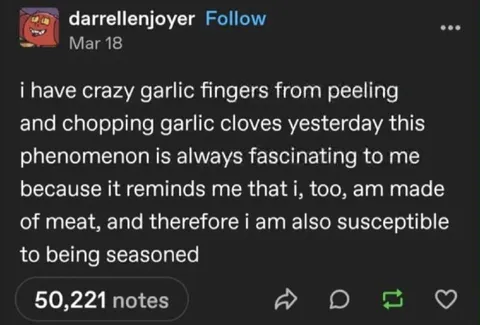 Garlic Seasoning Human Realization