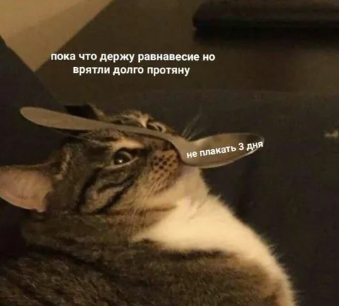 Держу равновесие, но недолго