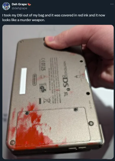Nintendo DS Looks Like a Murder Weapon