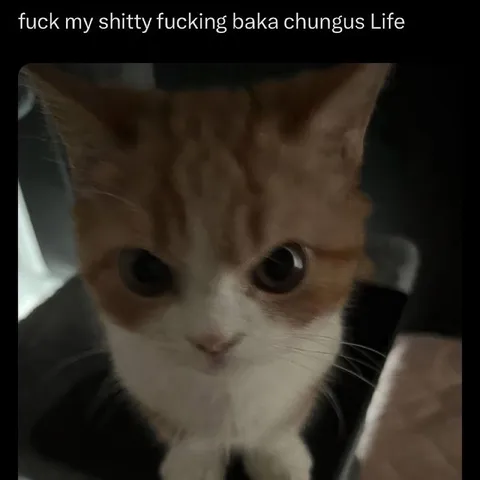 Baka Chungus Life