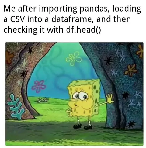 SpongeBob Checks the Dataframe