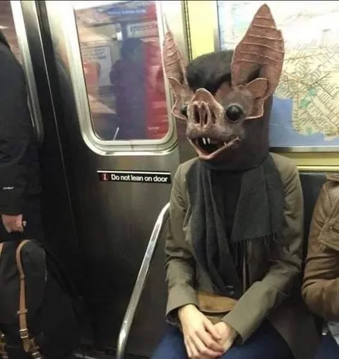 Bat Passenger on the Subway