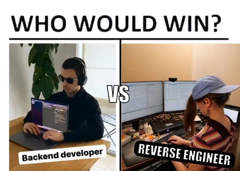 Backend Developer vs Reverse Engineer