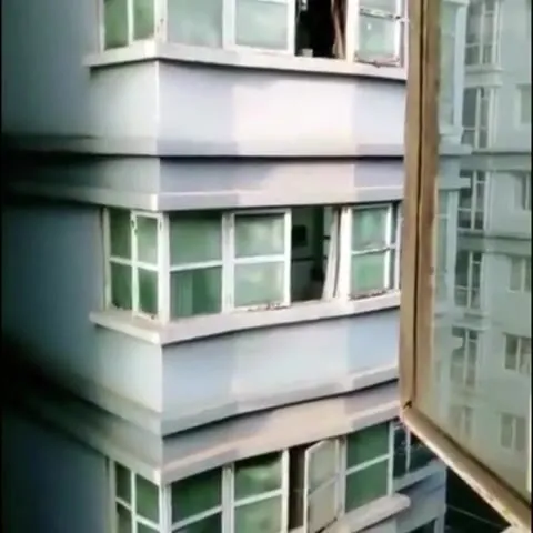 Кот выглядывает из окна