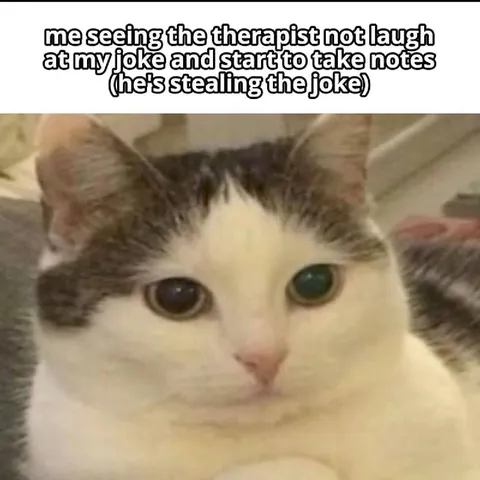 Therapist Stealing My Joke