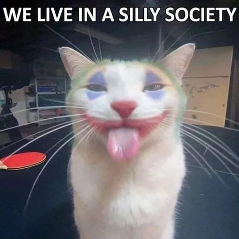 We Live in a Silly Society