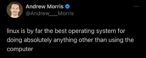Linux Is Best for Everything Except Using It