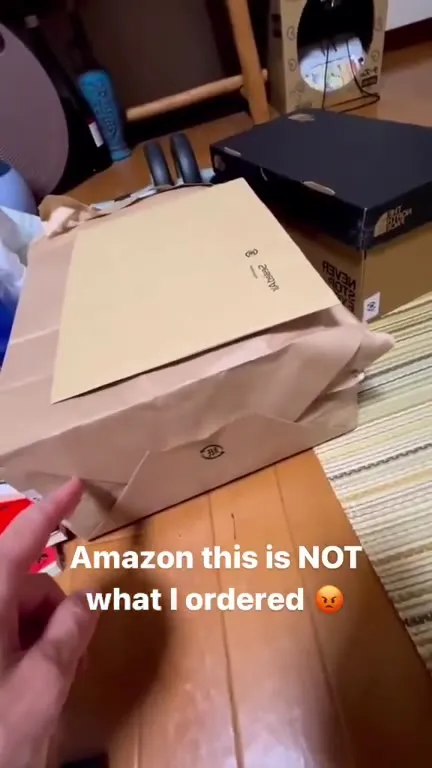 Amazon Ordered Surprise Cat